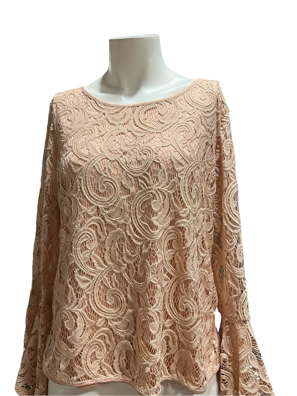 Adrianna Papell Blush Lace Long-Sleeve Top